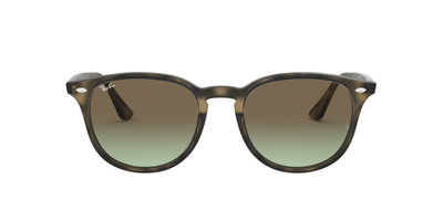 Ray-Ban RB4259 outlook