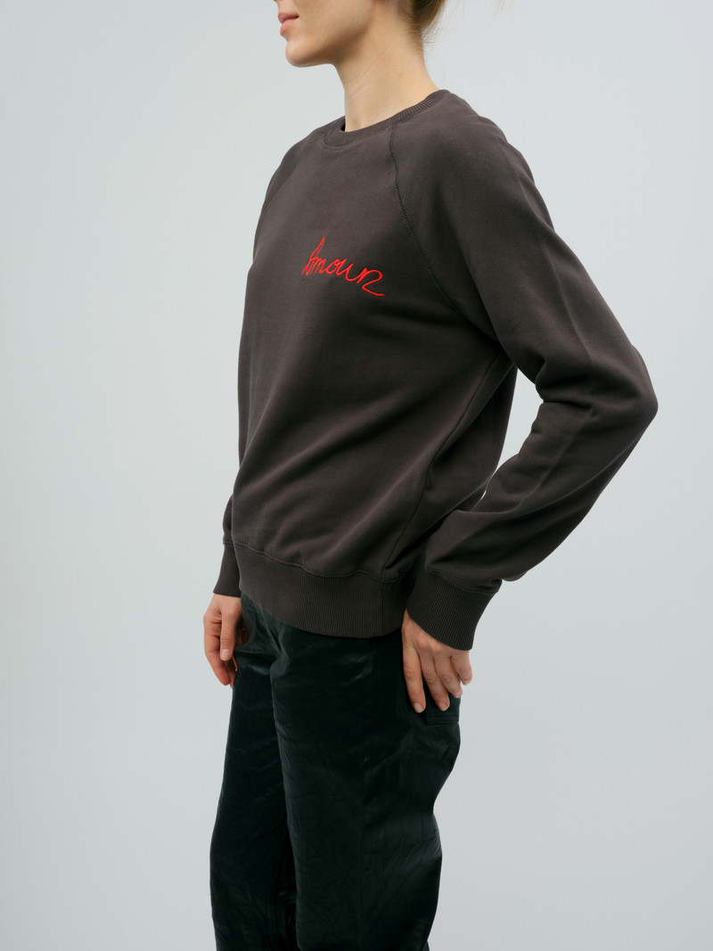 Upper Amour Embroidered Sweatshirt 5