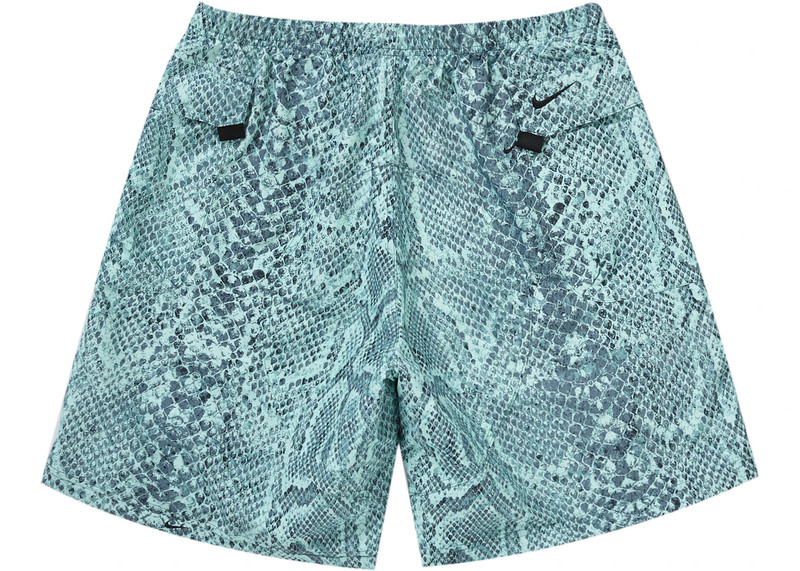 Supreme Supreme Nike ACG Nylon Trail Short Mint Snakeskin outlook