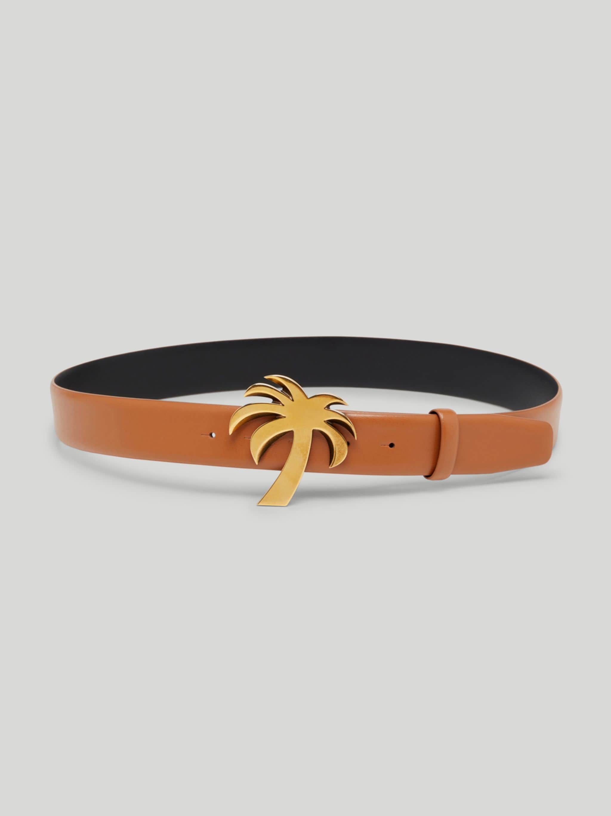 PALM BELT - 1