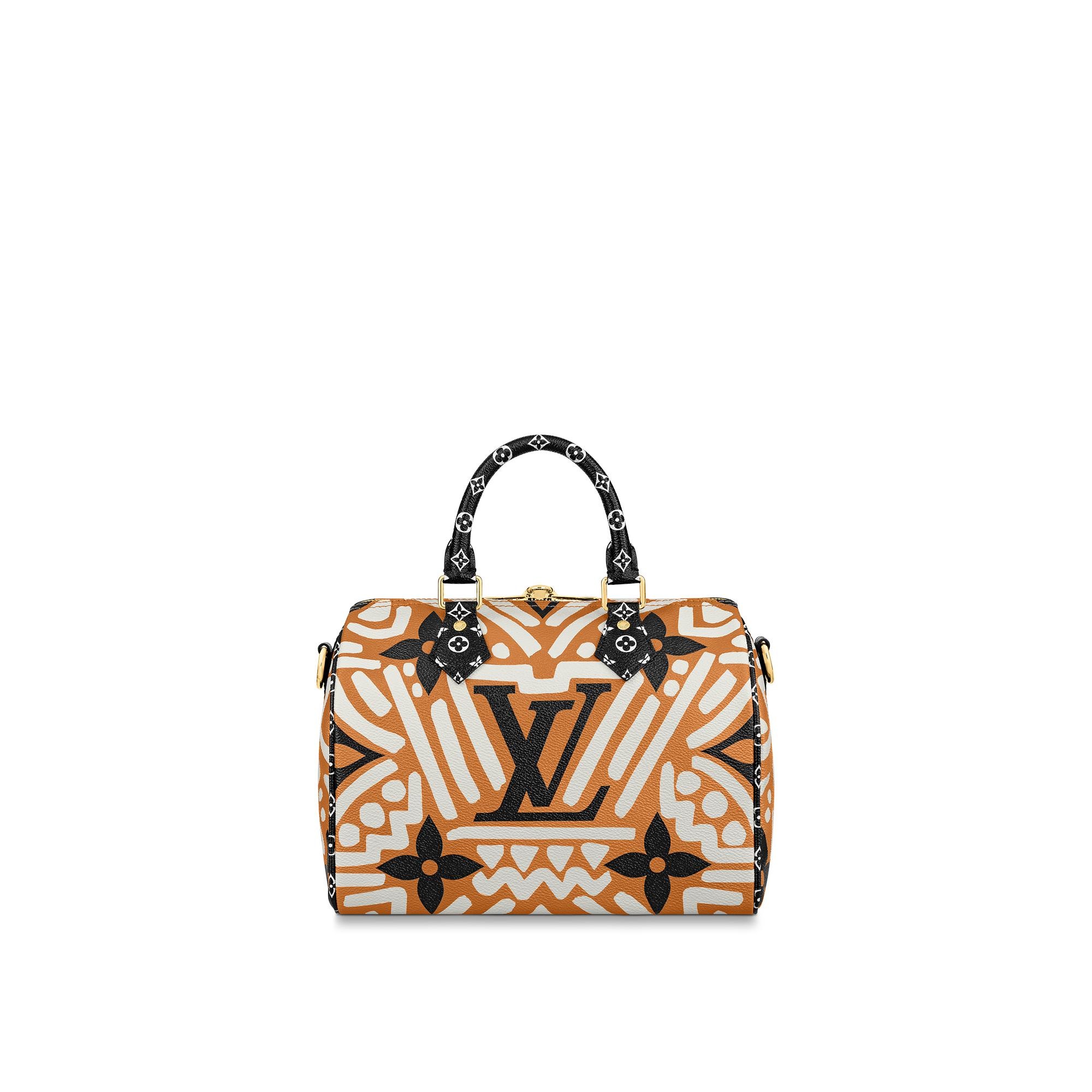 LV Crafty Speedy Bandoulière 25 - 6