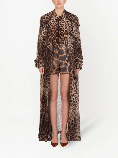 Dolce & Gabbana leopard print organza trench coat outlook