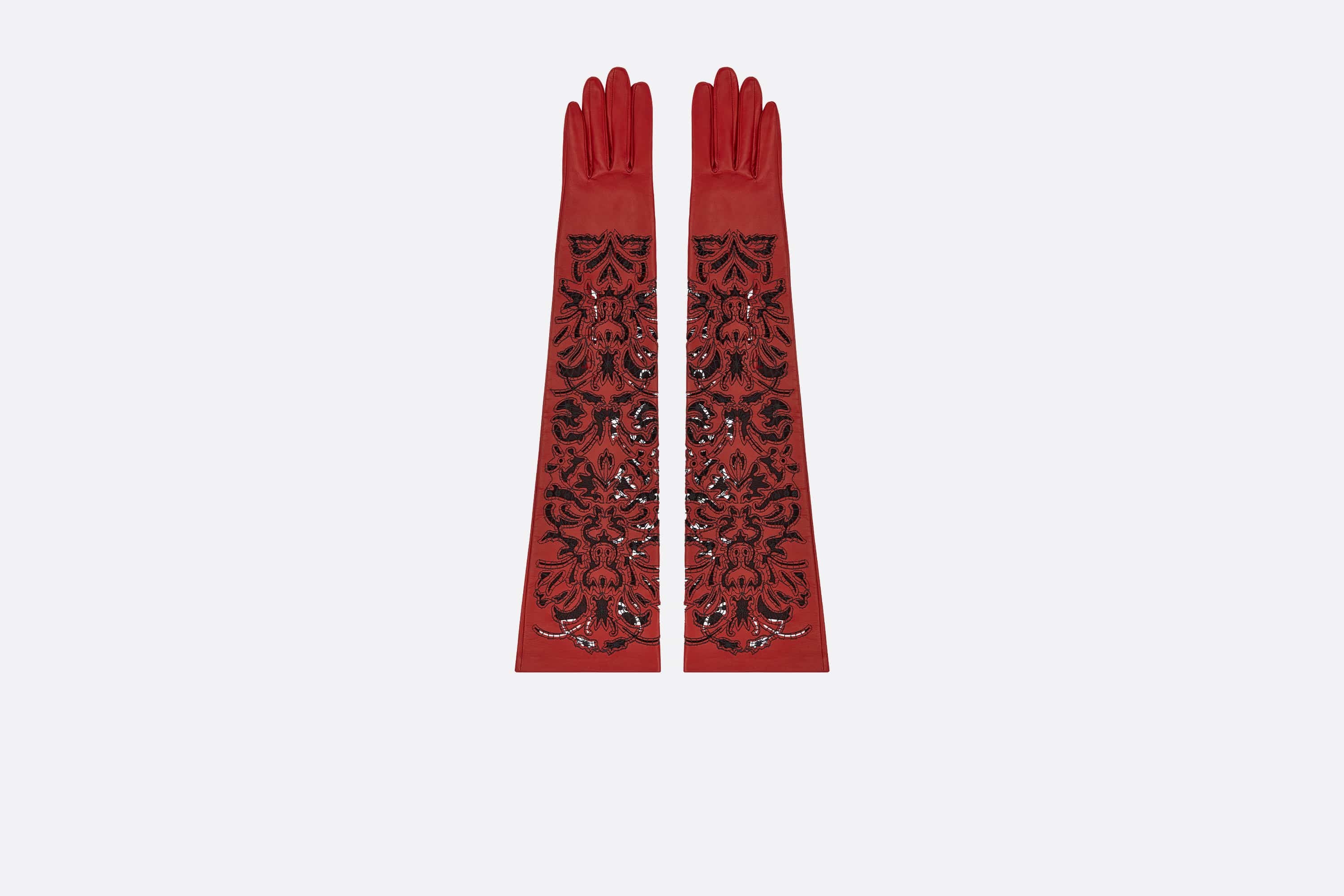 Ornamental Long Gloves - 1