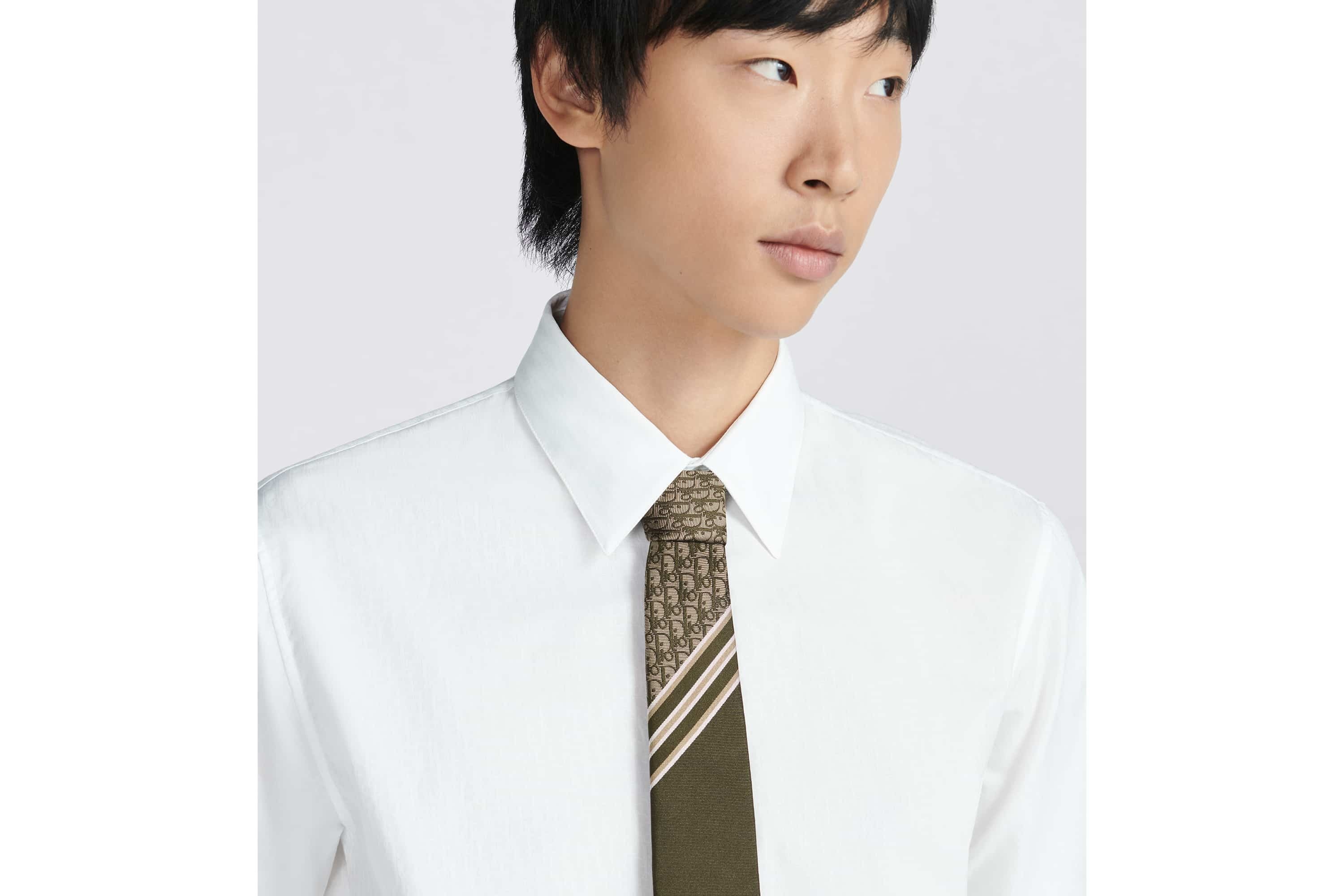 Striped Dior Oblique Tie - 5