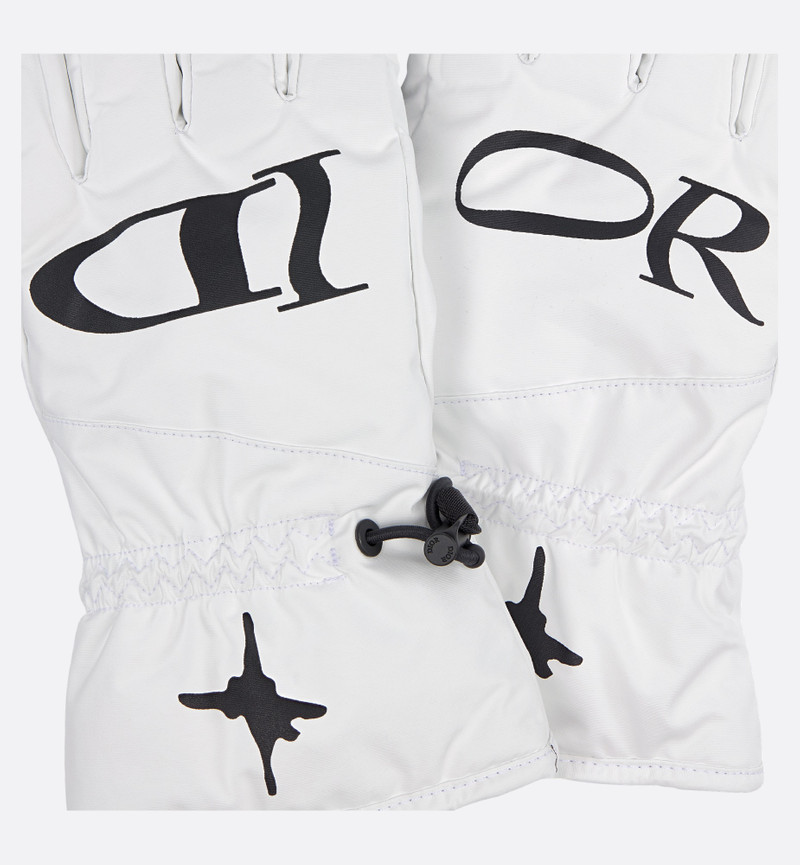 DIOR AND LEWIS HAMILTON Ski Gloves 4