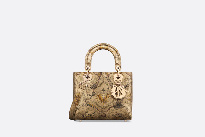 Small Lady Dior Bag 1