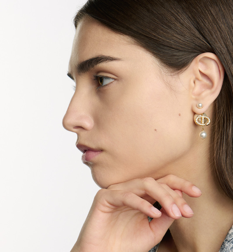 Dior Dior Tribales Earrings outlook