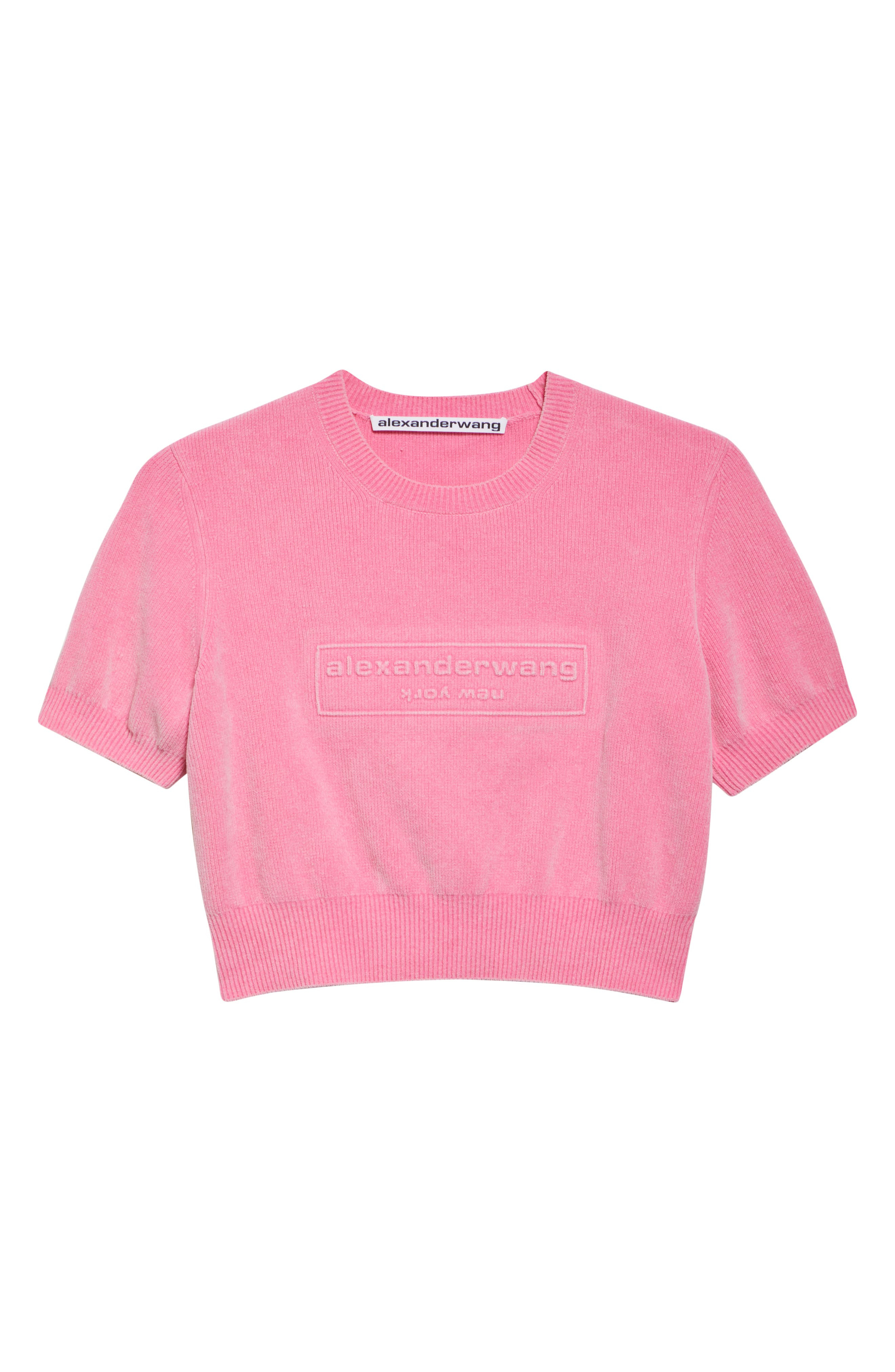 Alexander Wang Logo Short Sleeve Chenille Crop Sweater in Washed Lotus at Nordstrom - 6