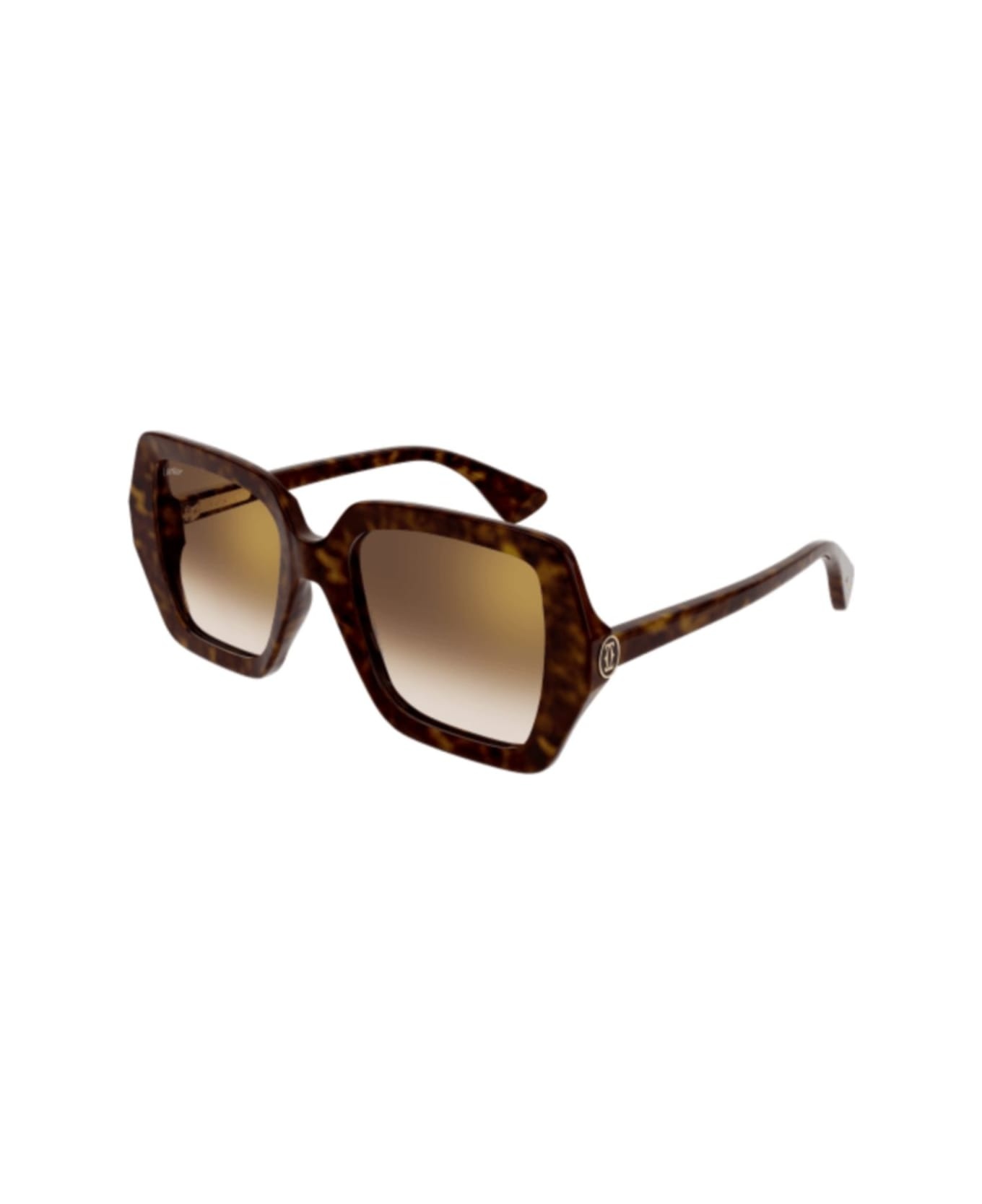 Ct0507s-002 Havana-havana-brown - 2