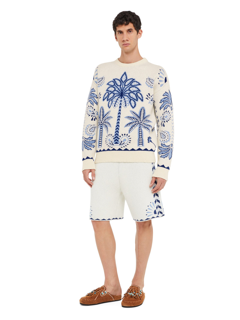 Alanui Wild Wonder Foulard Sweater outlook