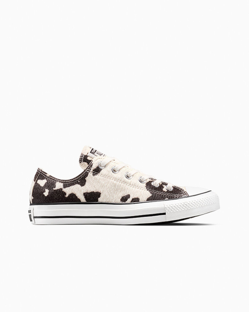 Chuck Taylor All Star Pony Hair 1