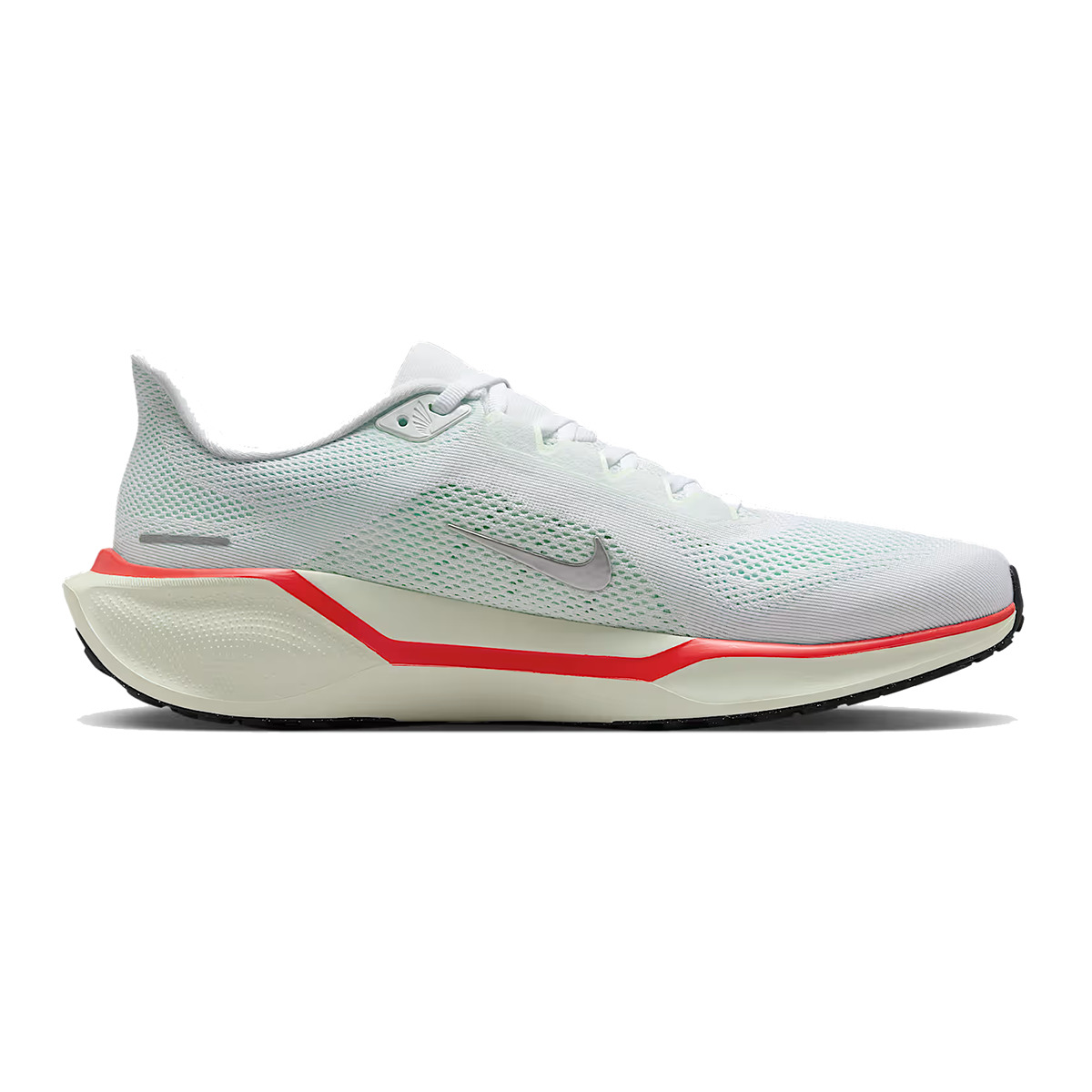 Nike Air Zoom Pegasus 41 - 1