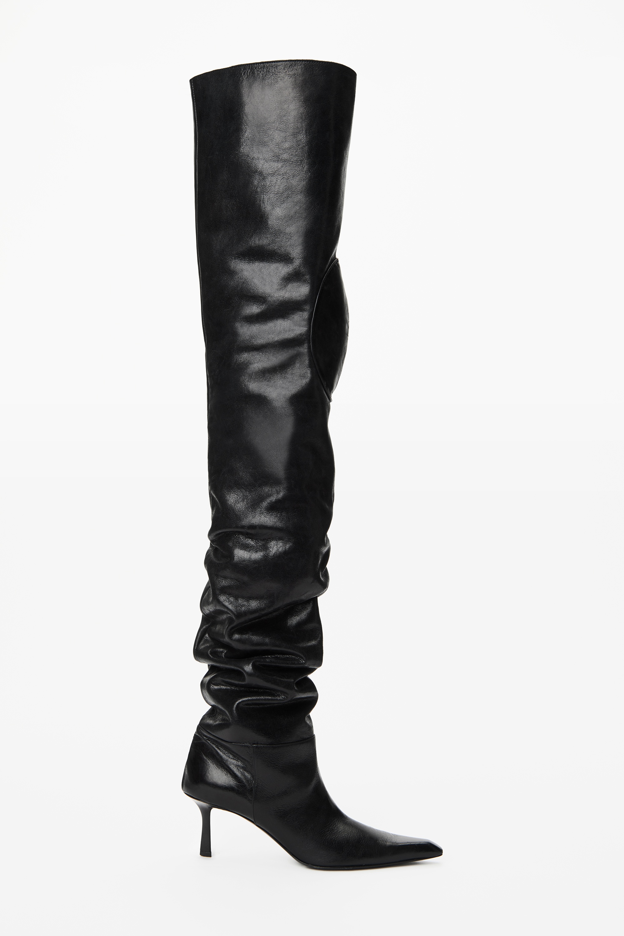 Alexander Wang VIOLA 65 HIGH HIP BOOT IN COW LEATHER | REVERSIBLE