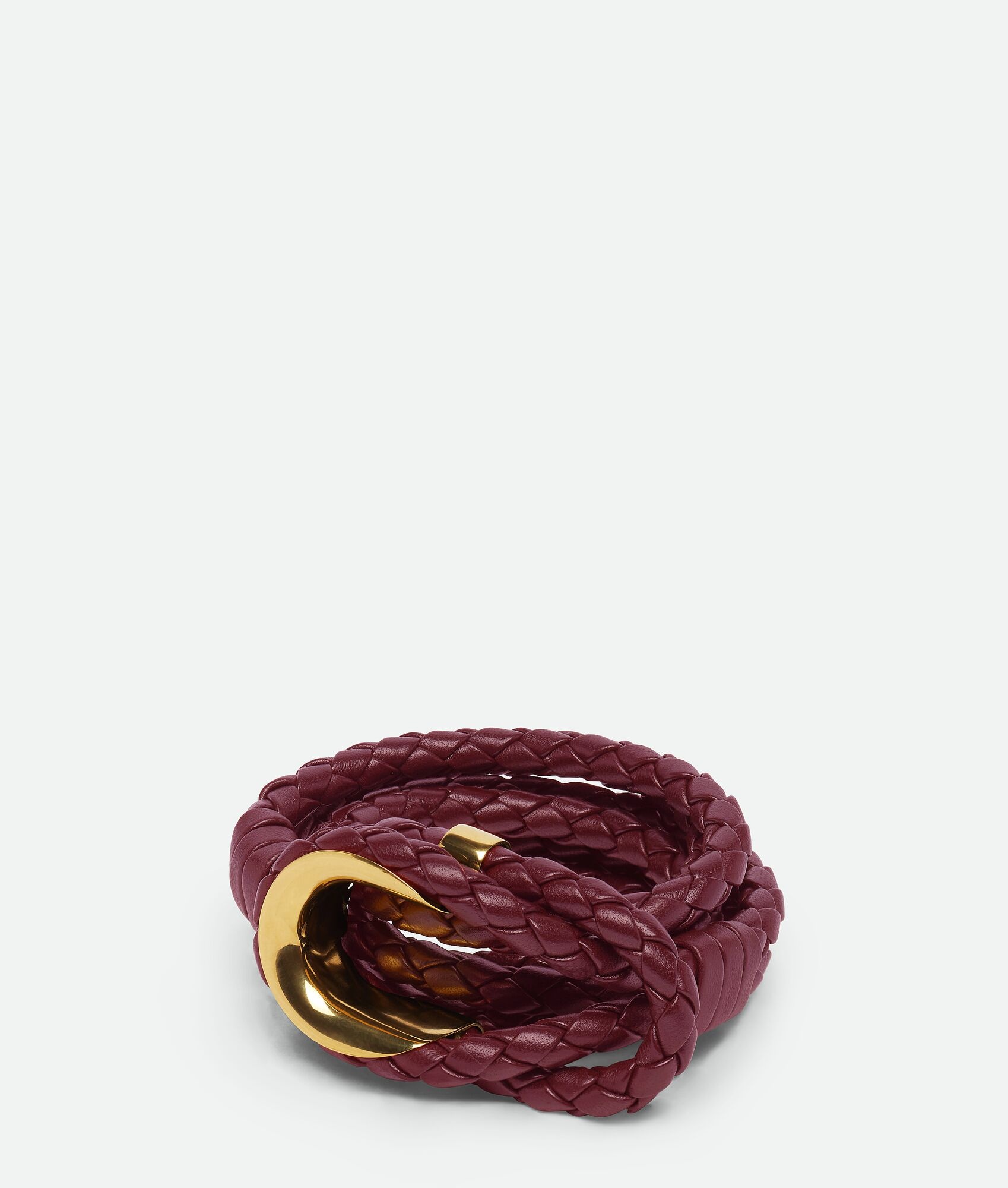 Coaxial Belt - 1