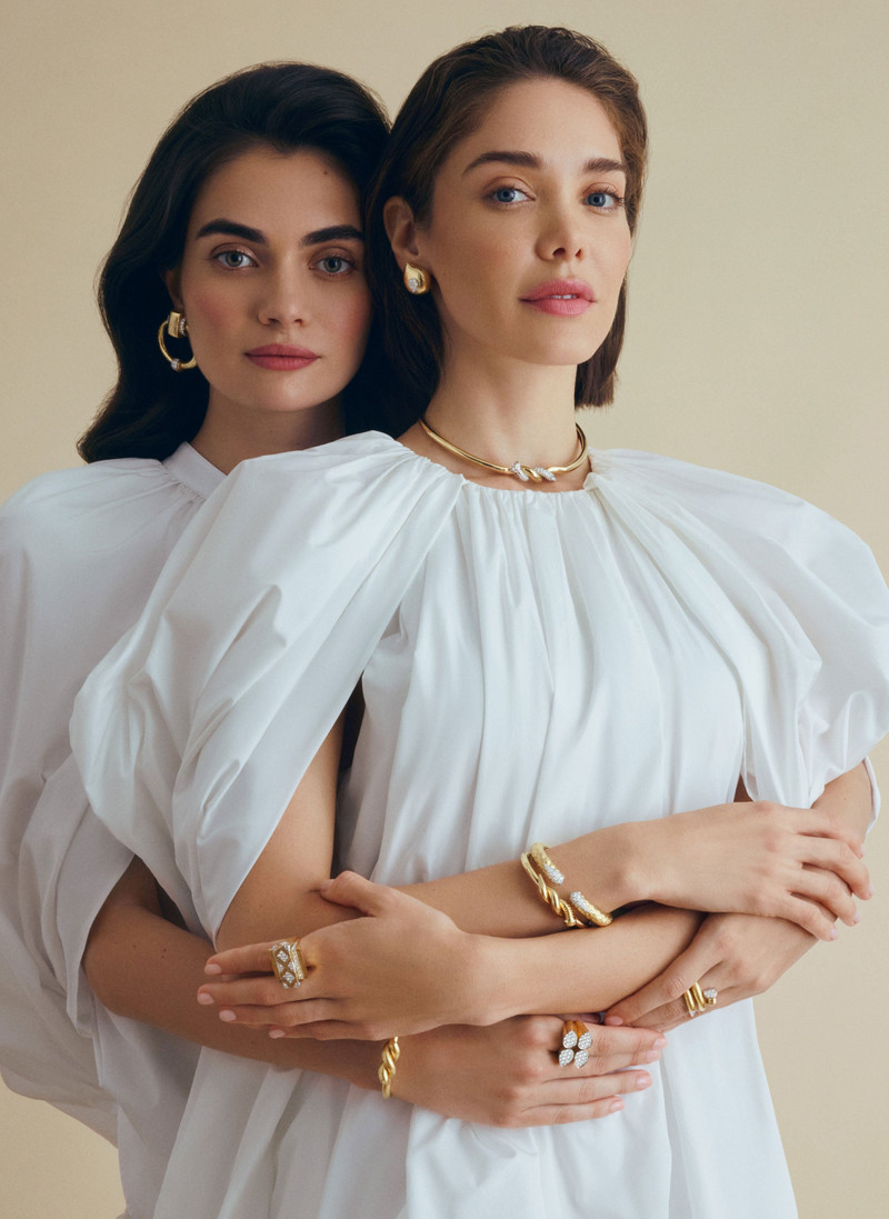 DAVID WEBB Diamond Two Tone Nail Collar outlook