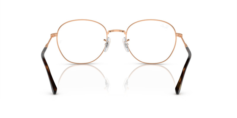 RB6509 OPTICS 6
