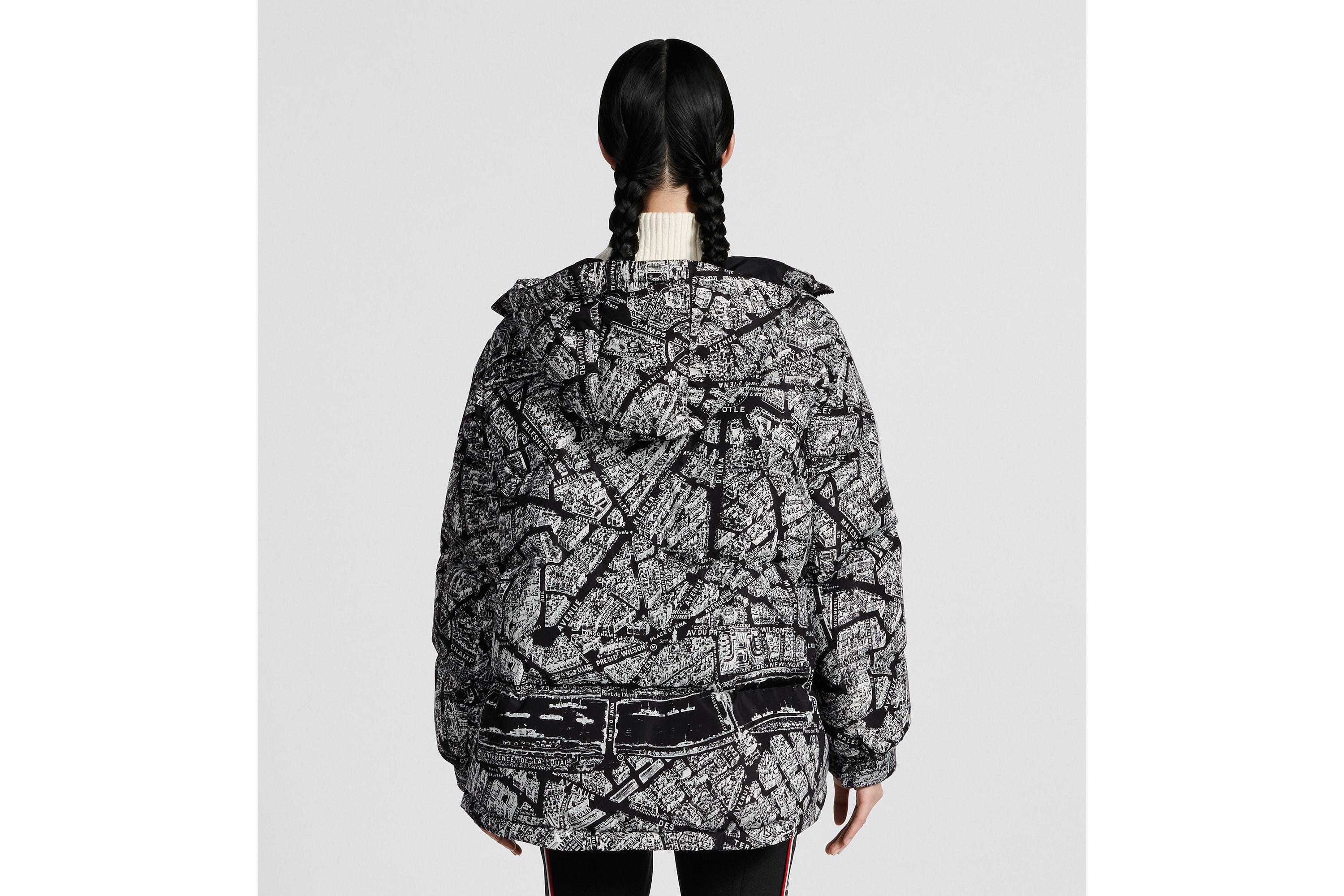 DiorAlps Hooded Down Jacket - 4