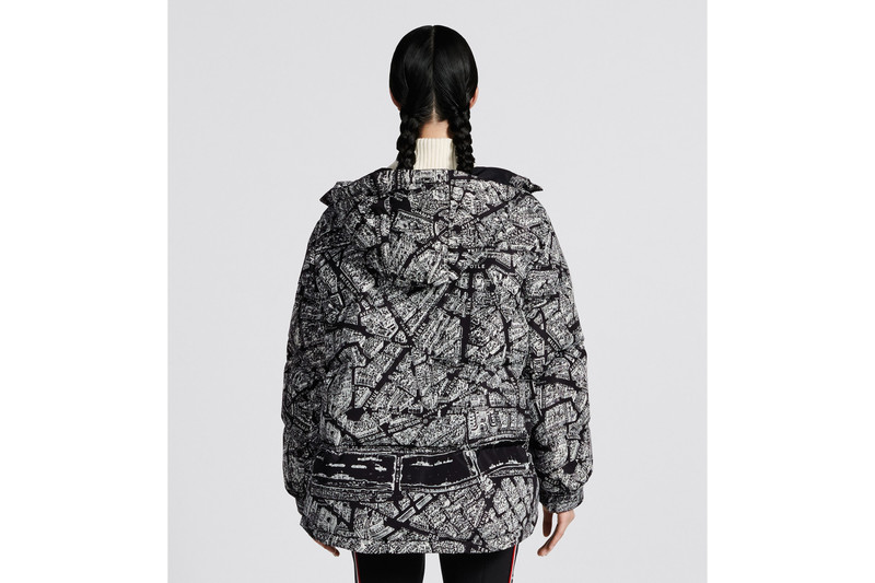DiorAlps Hooded Down Jacket 4
