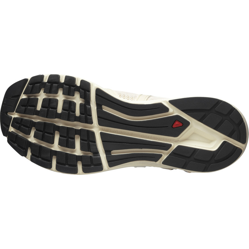 SALOMON TECHSONIC outlook