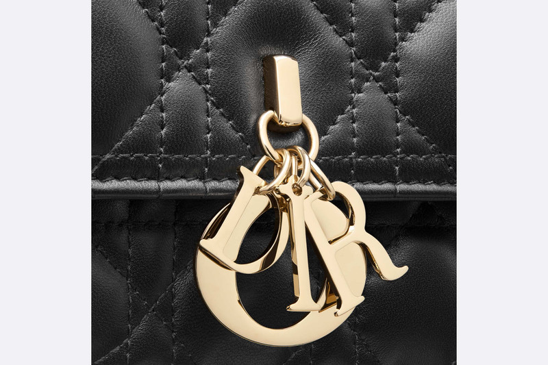 Miss Dior Top Handle Bag 9