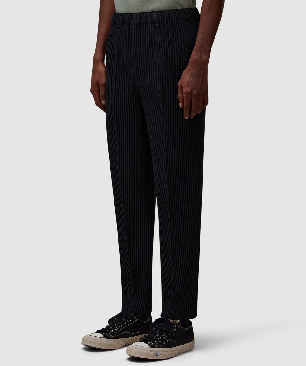 Compleat pleats pant - 2