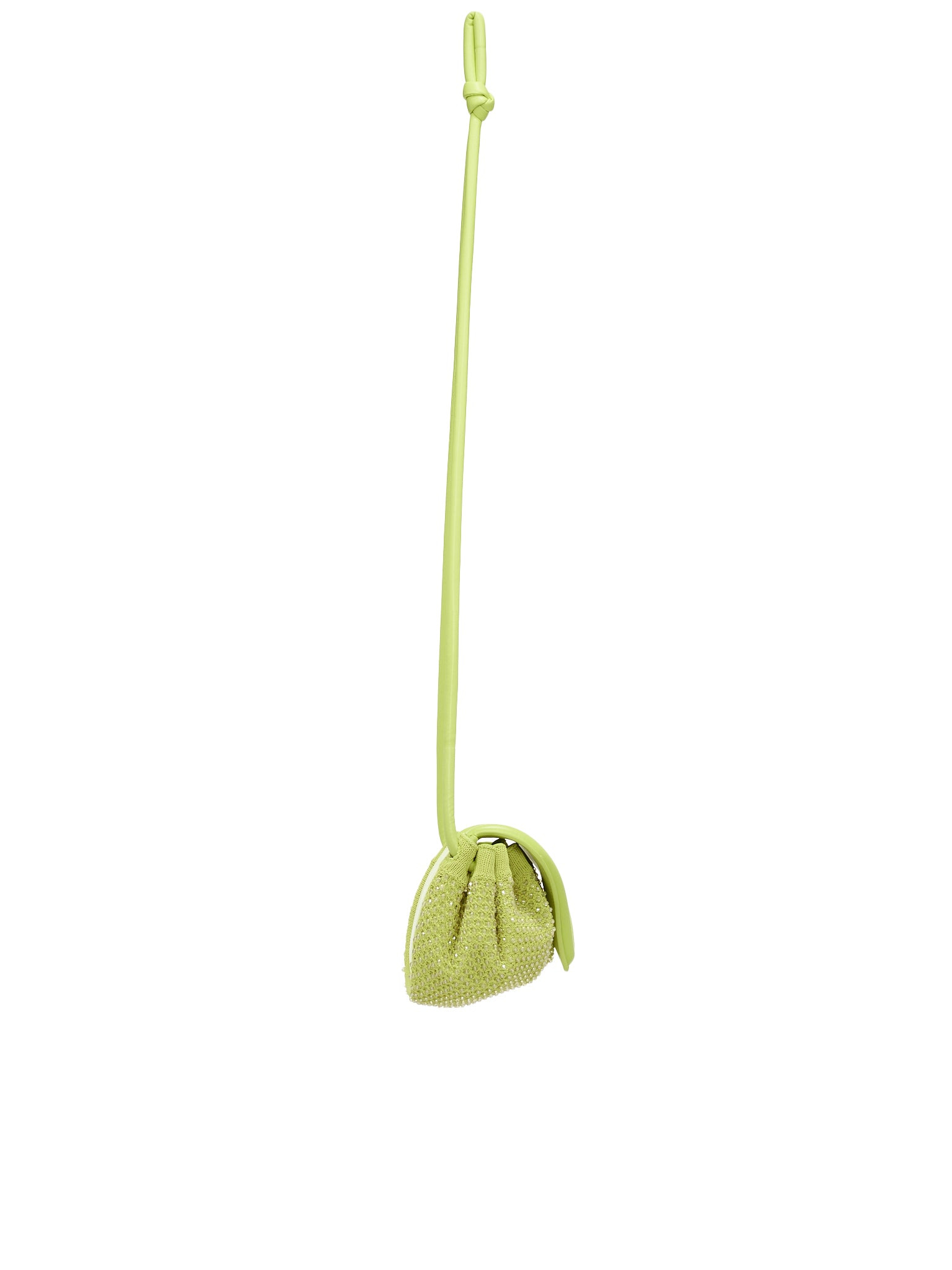 Small Beak - 3