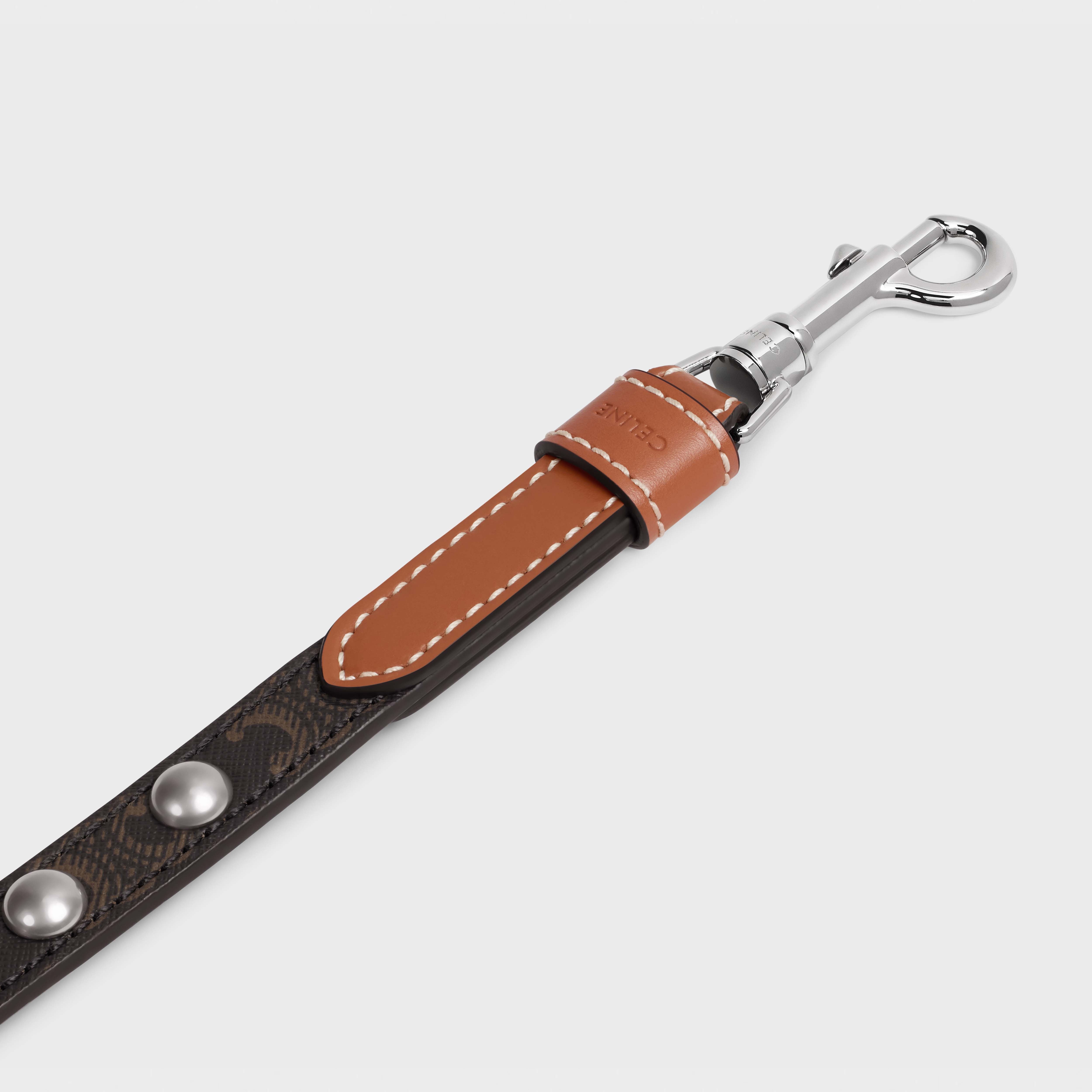 Adjustable Dog Leash in Triomphe Canvas and Calfskin with Studs - 2