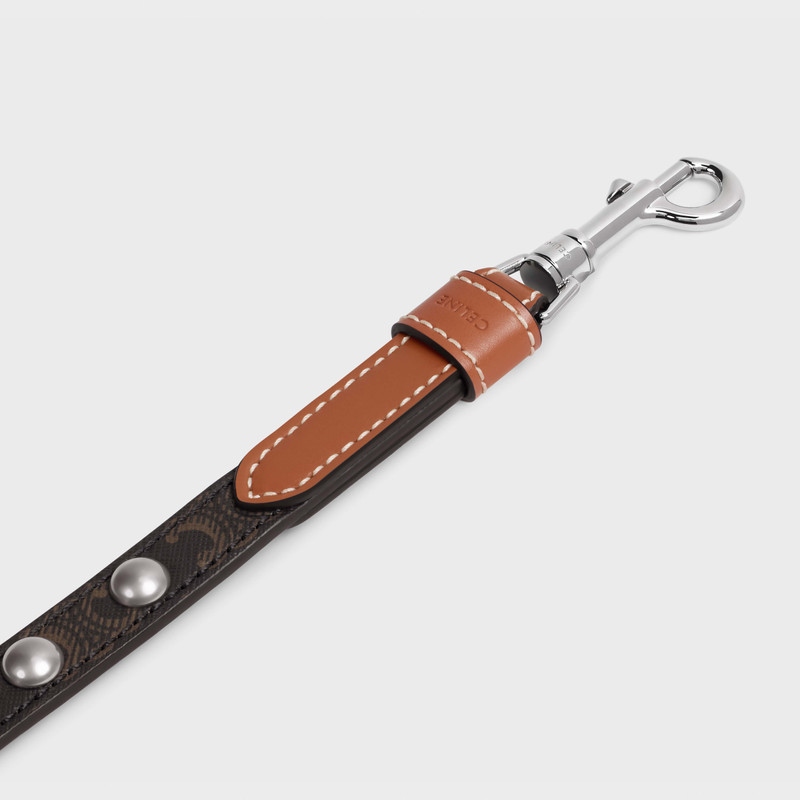 CELINE Adjustable Dog Leash in Triomphe Canvas and Calfskin with Studs outlook
