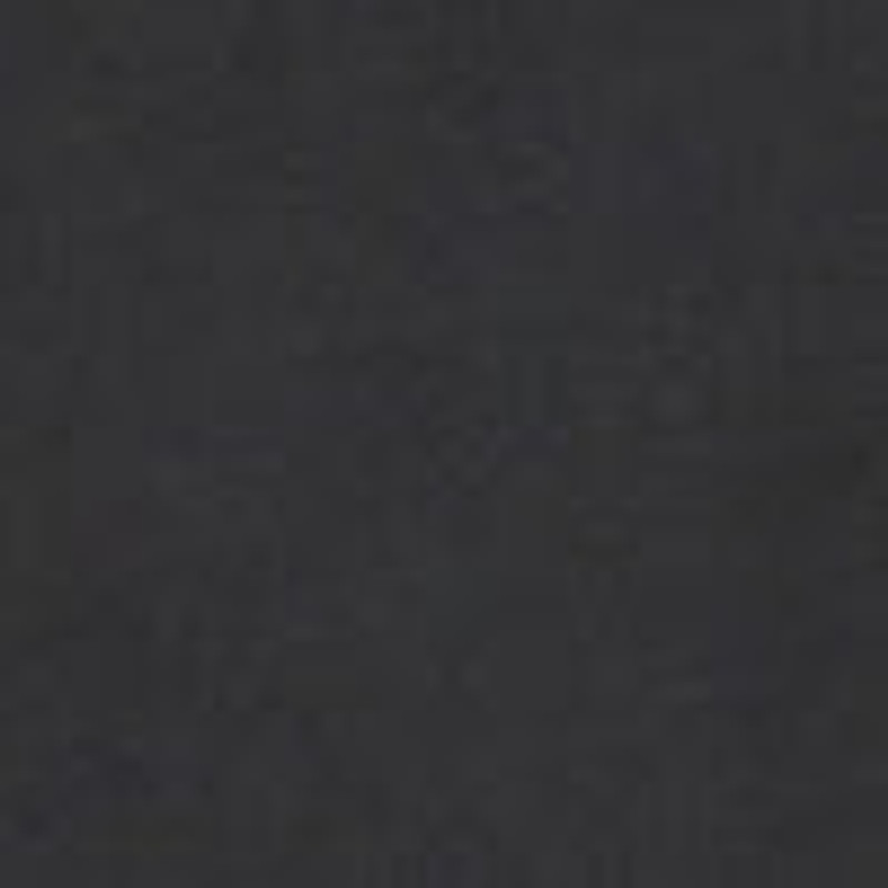 Erwin Coat in Silk and Nylon 6