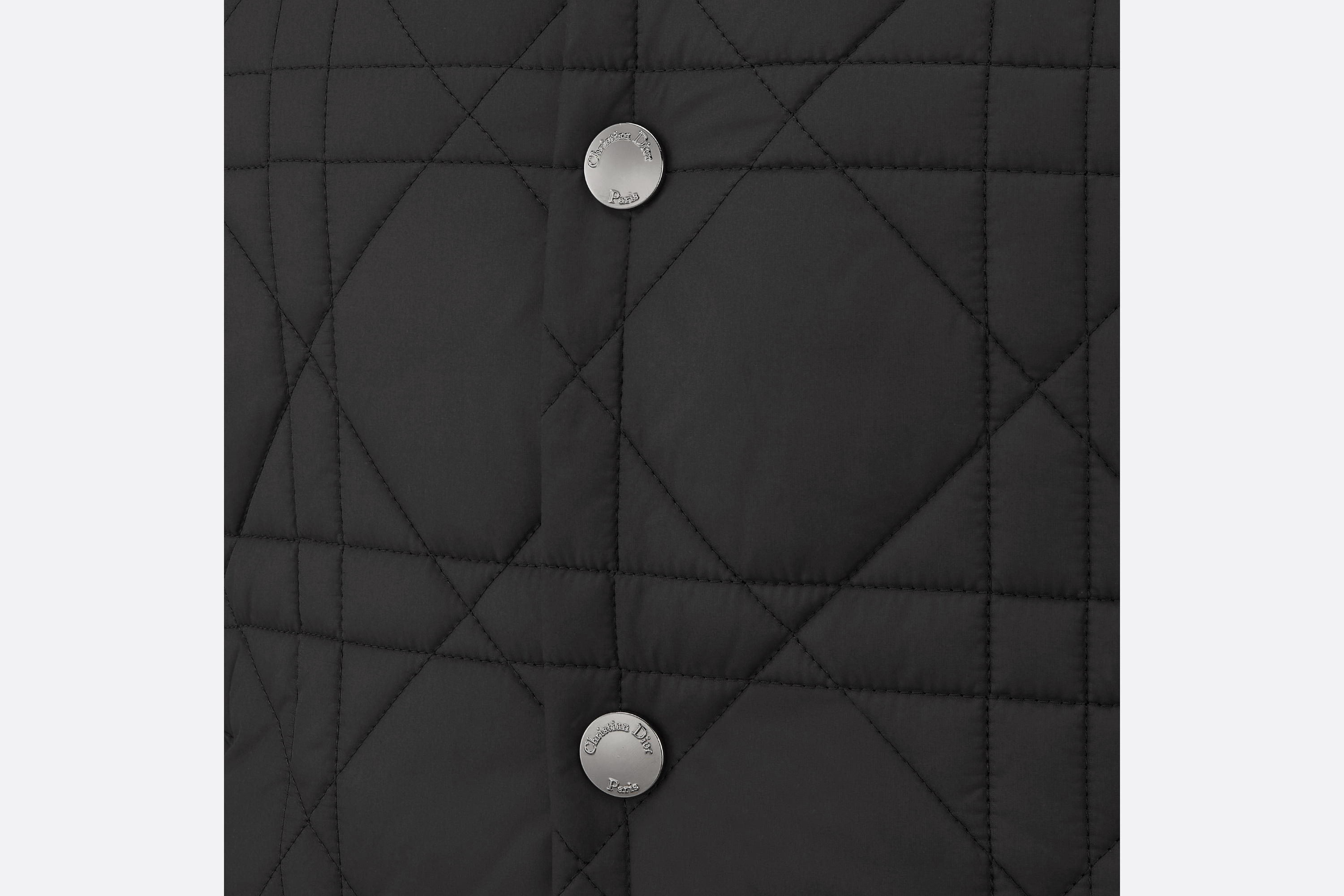 DiorAlps Puffer Vest - 7