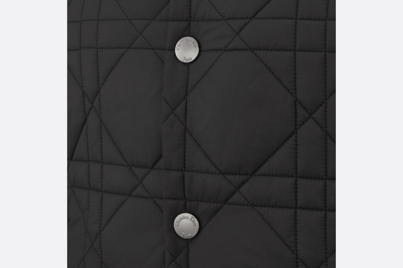 DiorAlps Puffer Vest 7