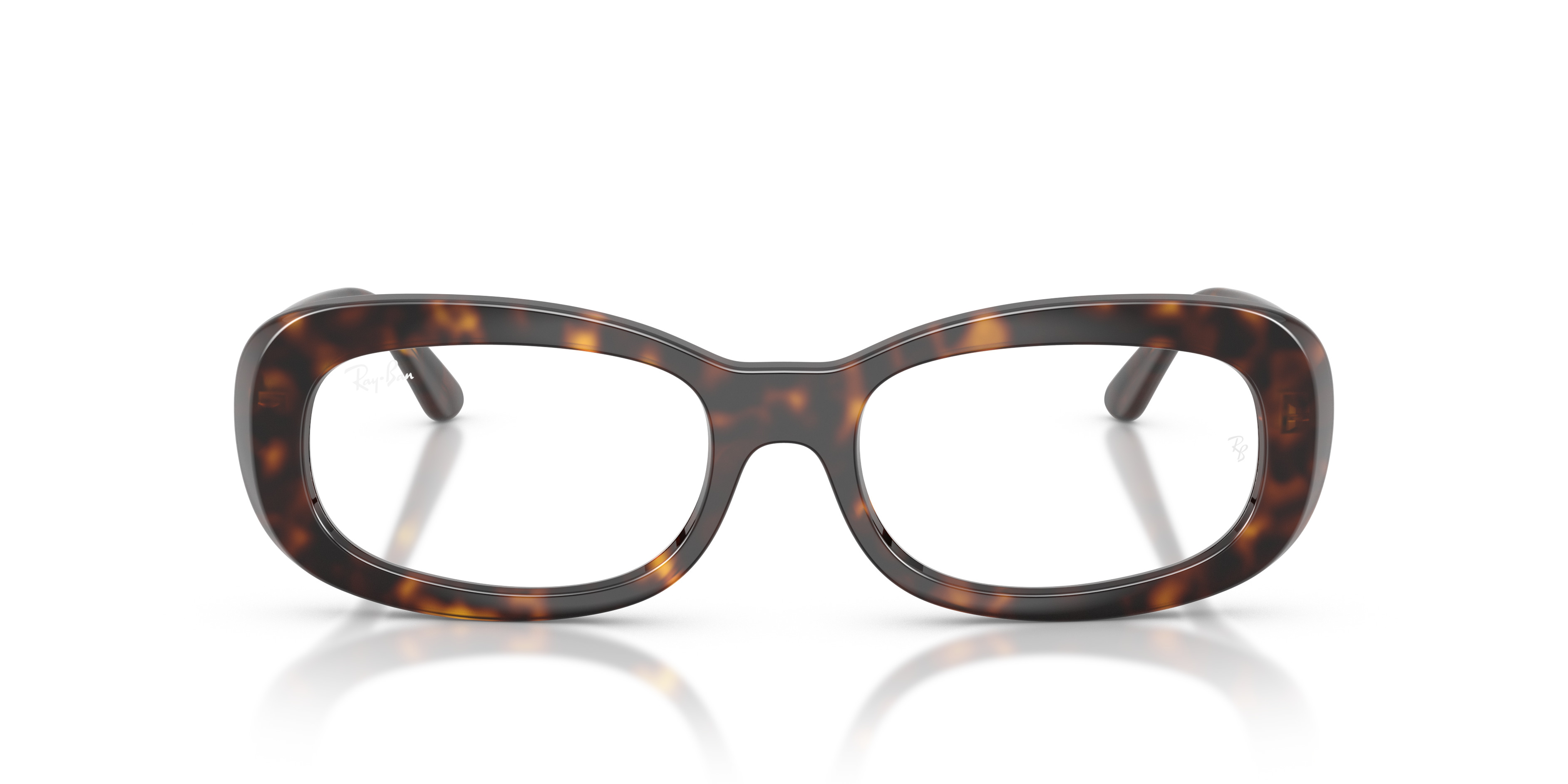 RB2221V OPTICS - 4