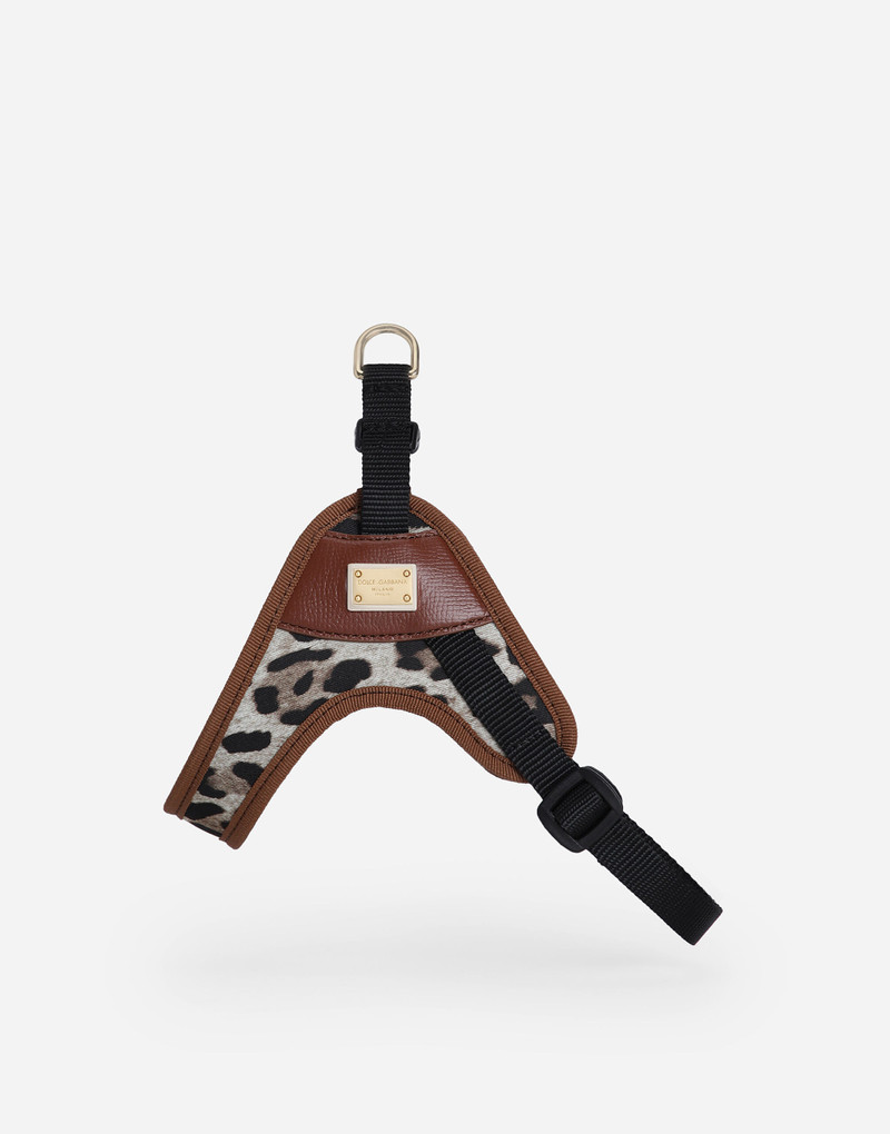 Dolce & Gabbana Dog harness outlook
