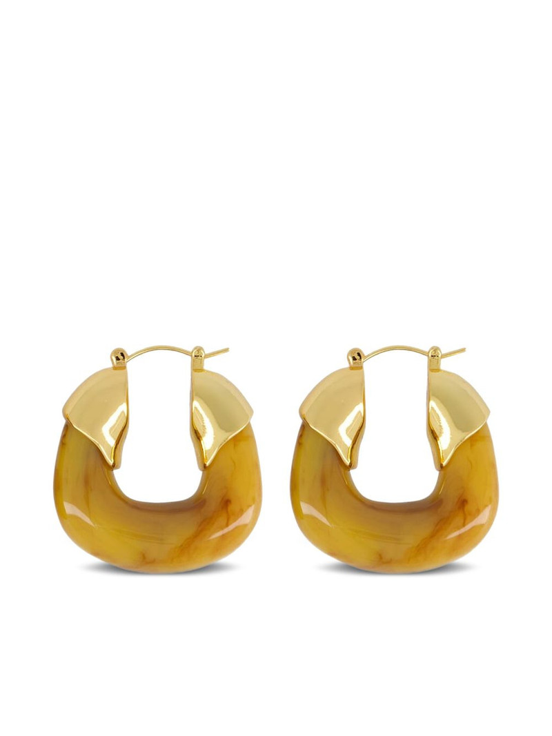 hoop earrings 1