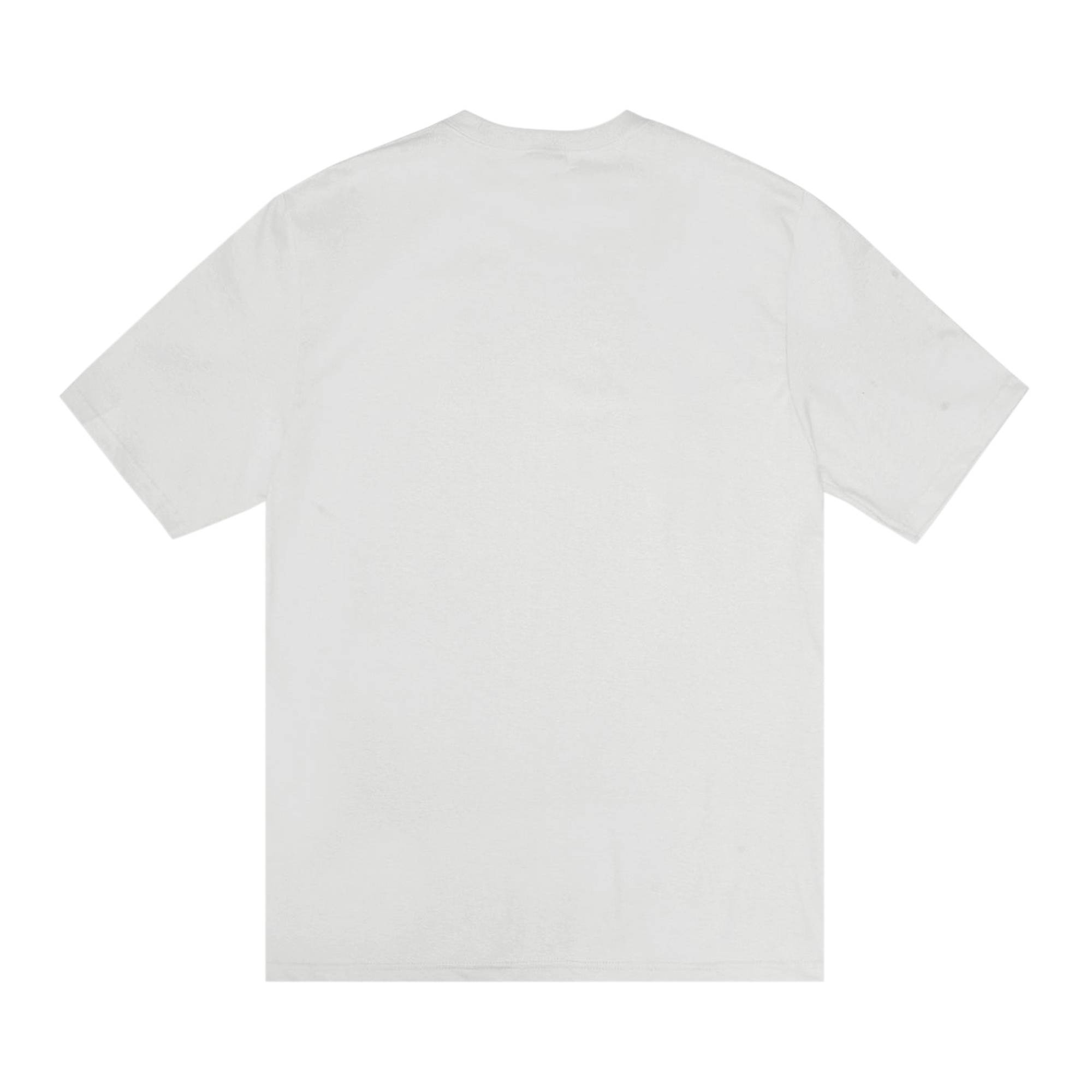 Stussy Dobermans Tee 'Fog' - 2