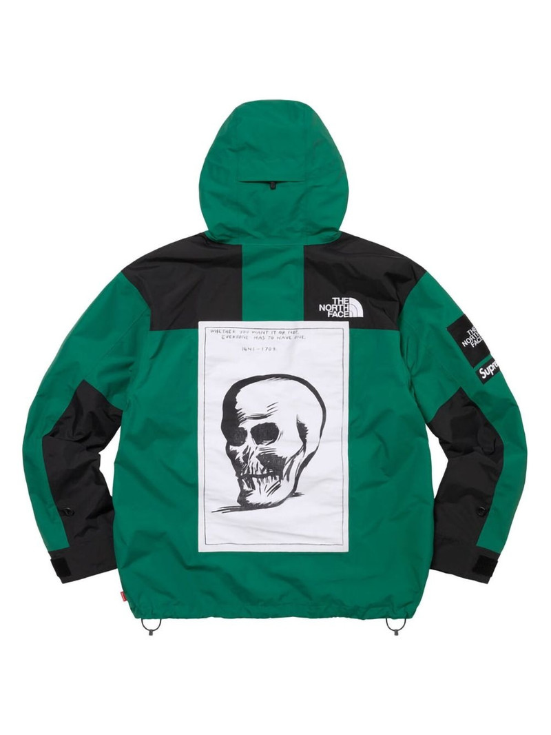 Supreme x The North Face mountain jacket outlook