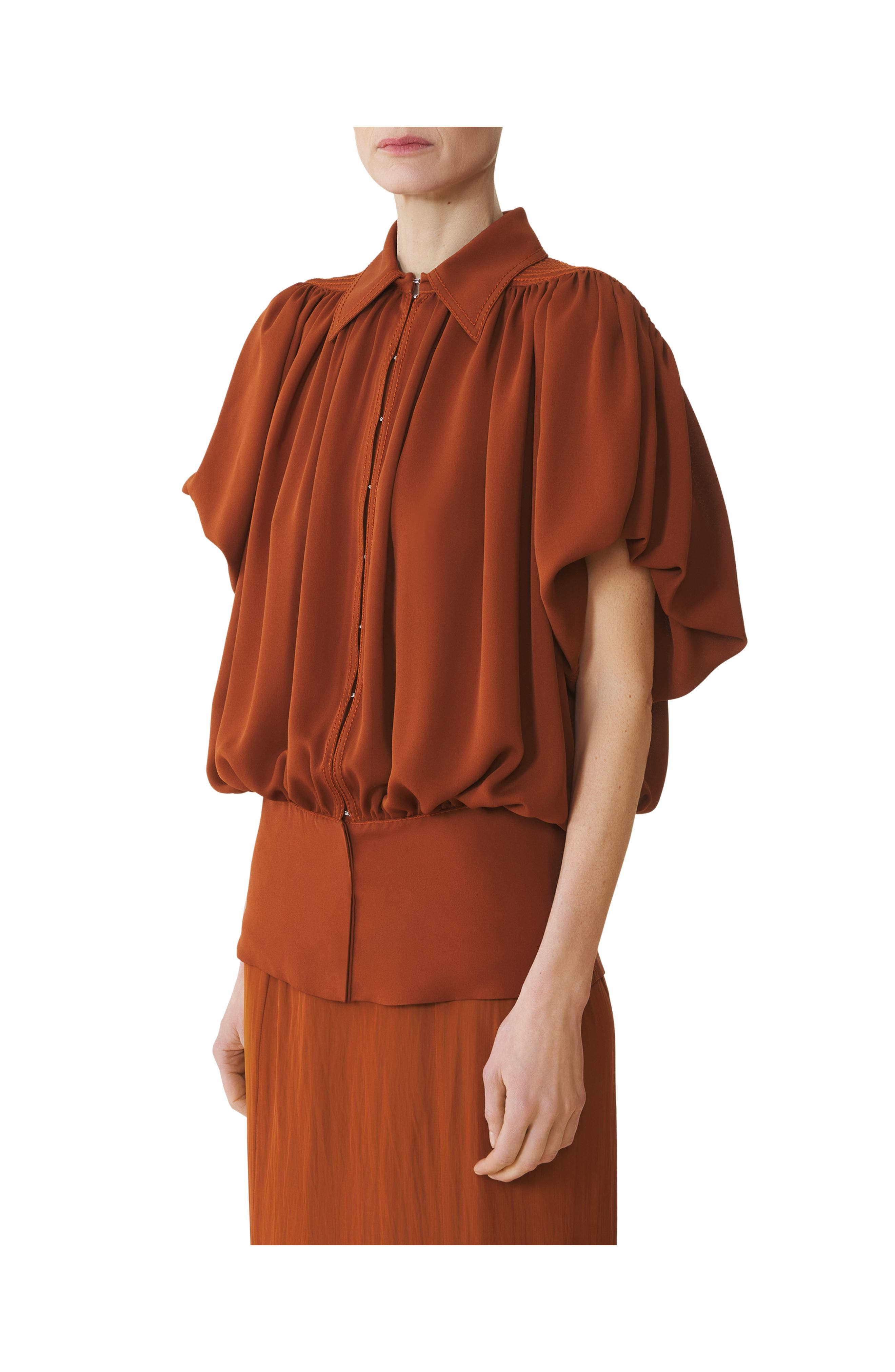 Lanvin Top In Silk Georgette in Chestnuts at Nordstrom - 3