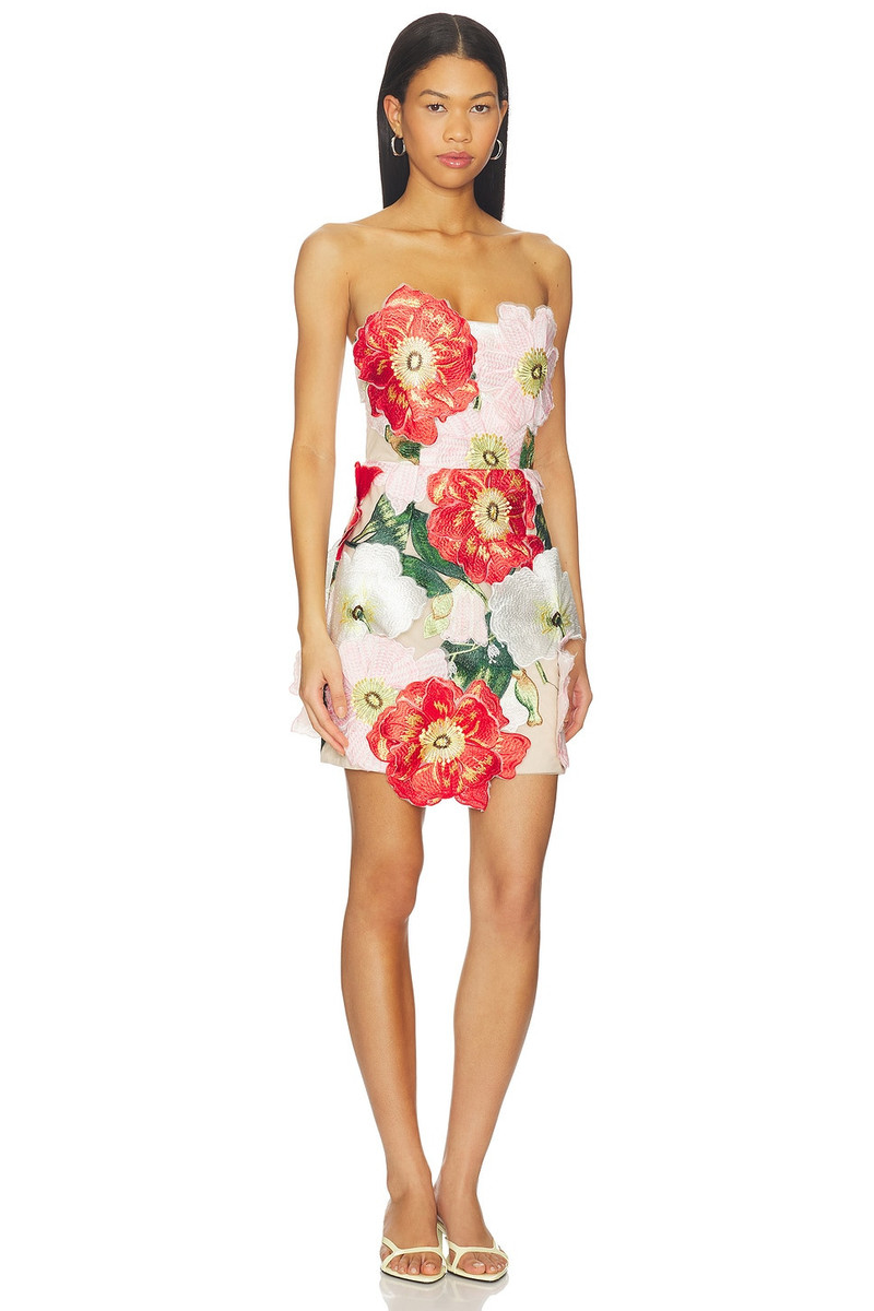 ELLIATT Solara Mini Dress outlook