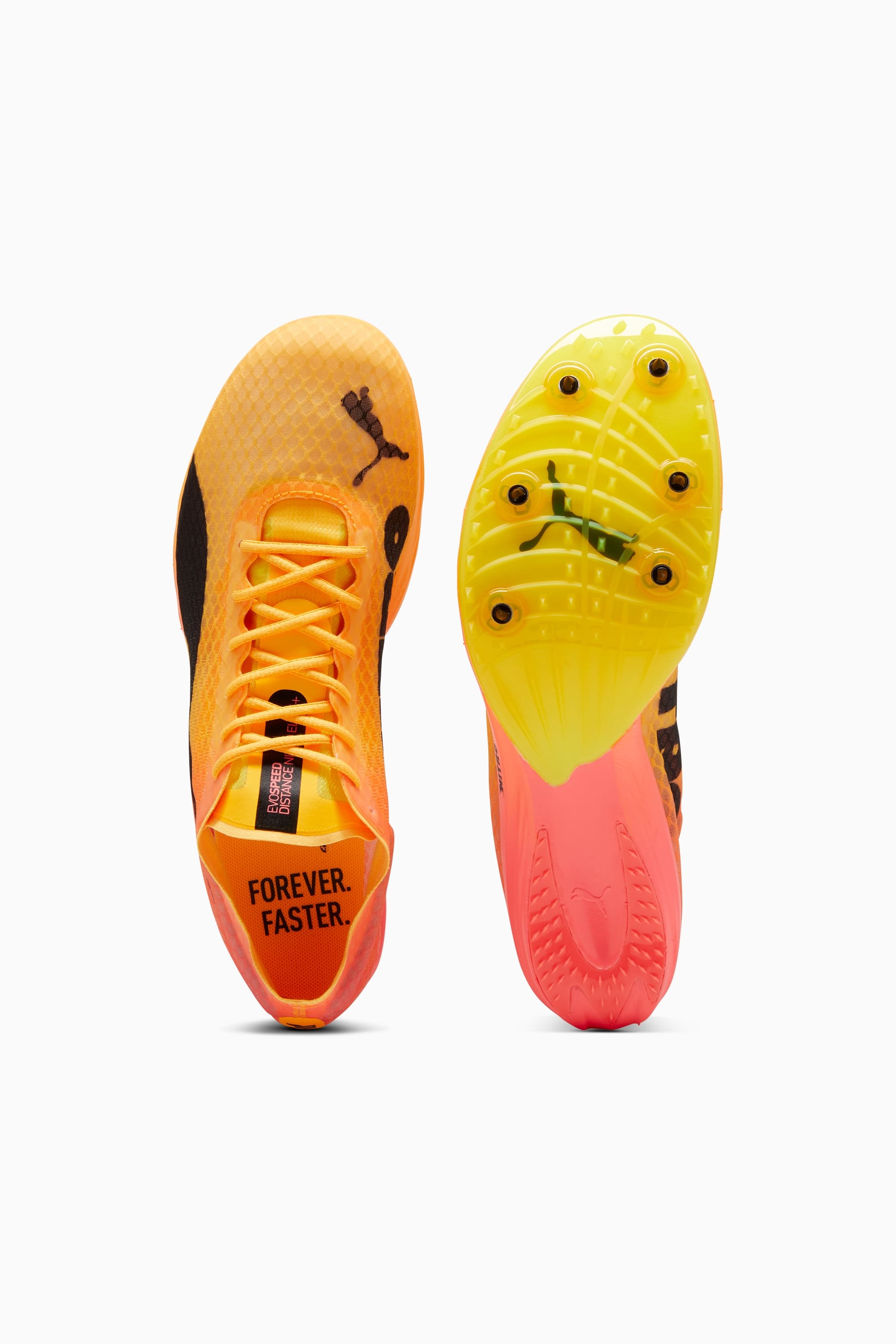 PUMA EVOSPEED DISTANCE NITRO ELITE＋ Puma Unisex Evospeed Distance Nitro Elite+ 2 | Marathon Sports