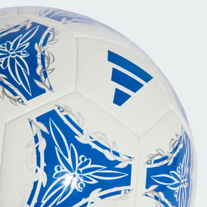 Argentina AFA Argentum Gambeta Club Ball 3