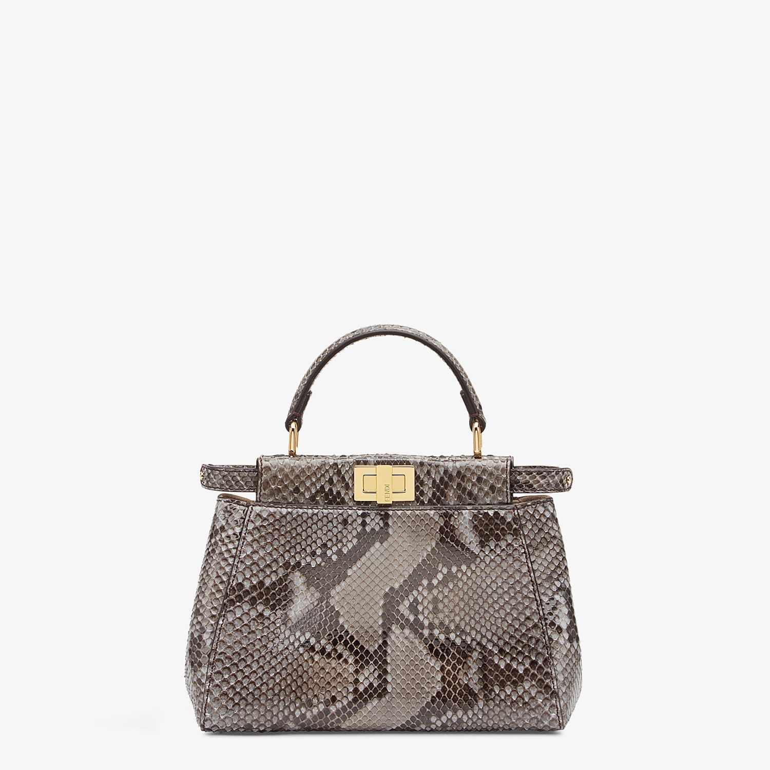 Gray python bag - 1