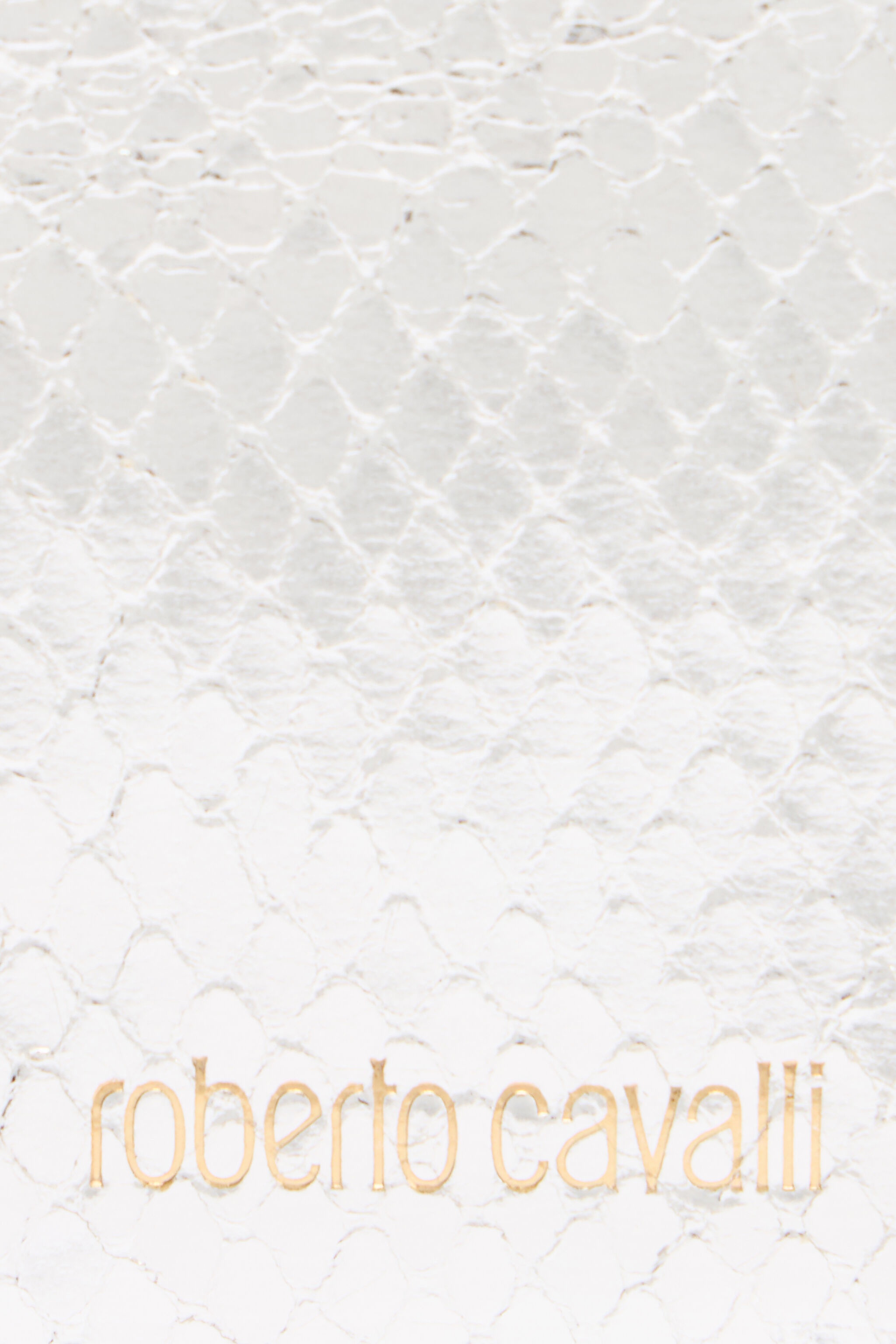 Metallic Snake-Scale Card Holder - 4