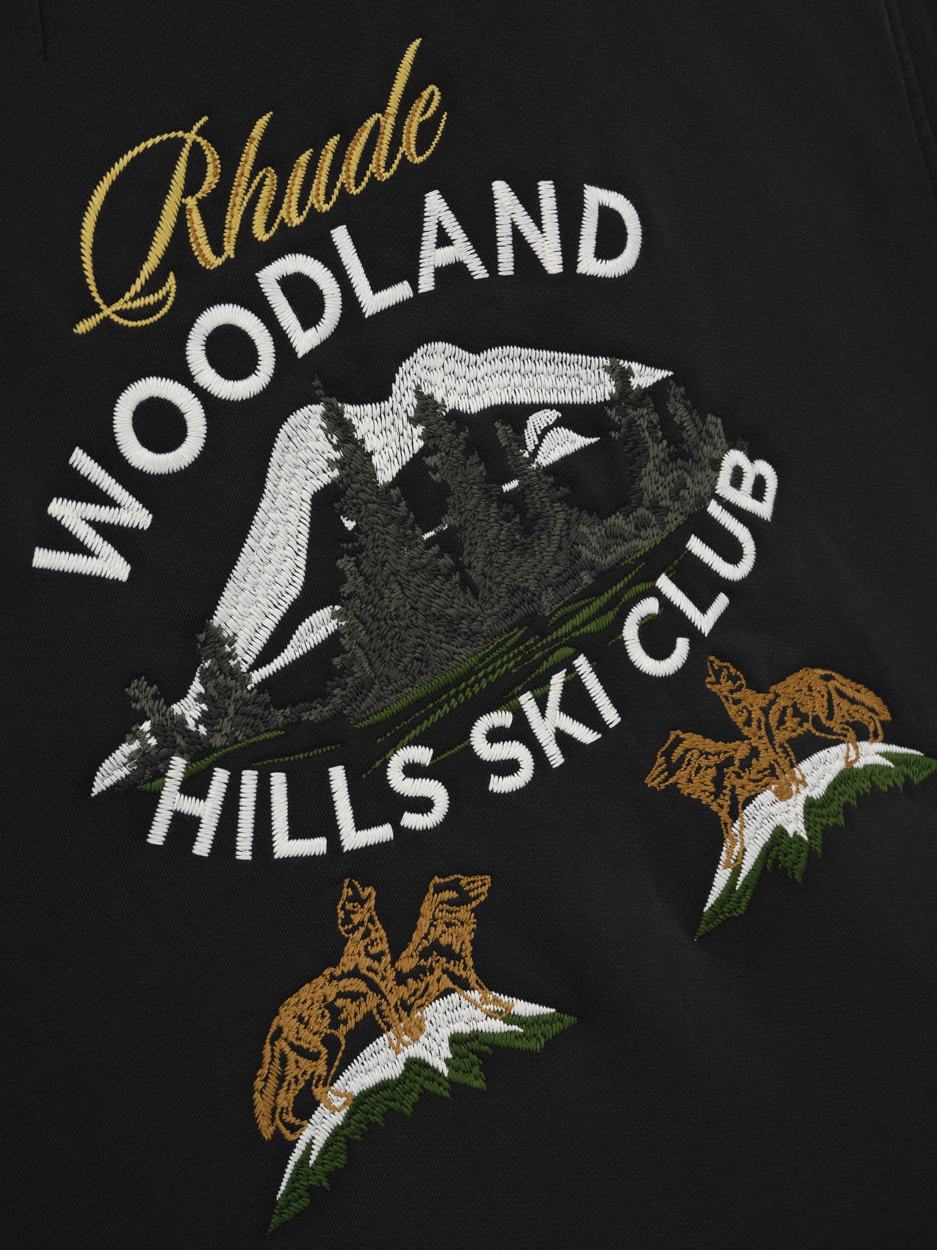 WOODLAND HILLS SKI HOODIE - 4