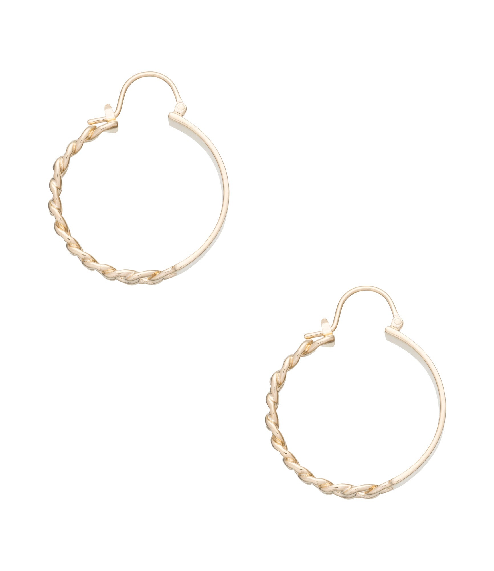 Darwin earrings - 1