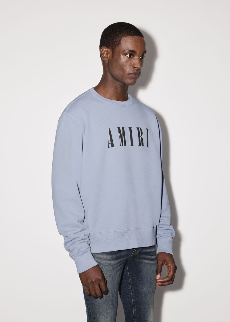 AMIRI CORE LOGO CREW outlook