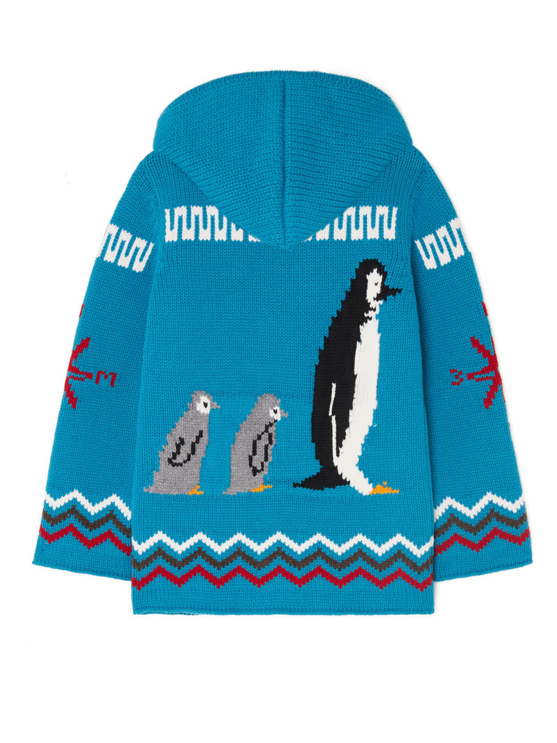 Alanui For The Love Of Penguins Hoodie outlook