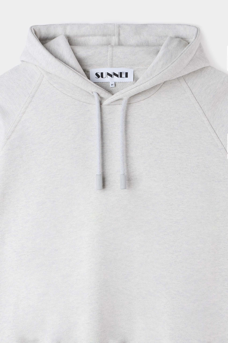EMBROIDERED EIWS HOODIE / light grey melange 3