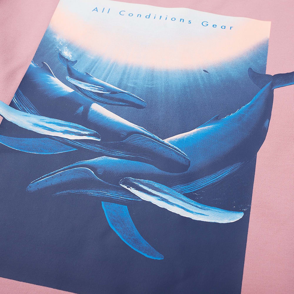 Nike ACG Whale Tee - 2