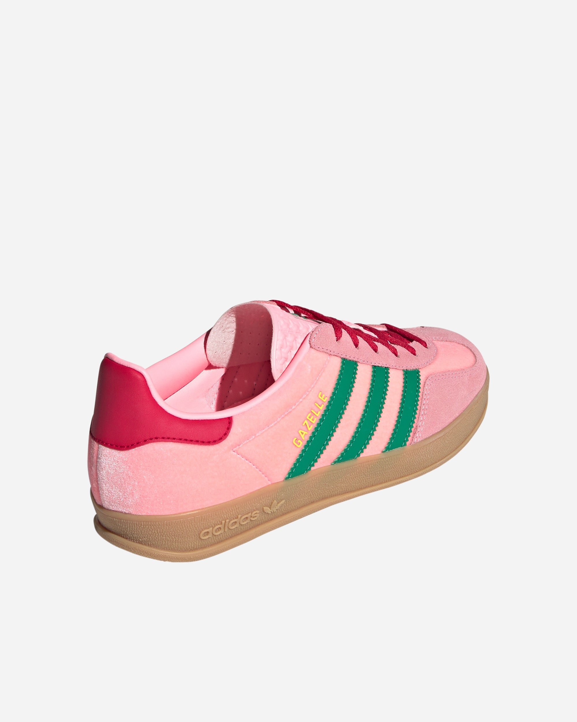 Gazelle Indoor - 3