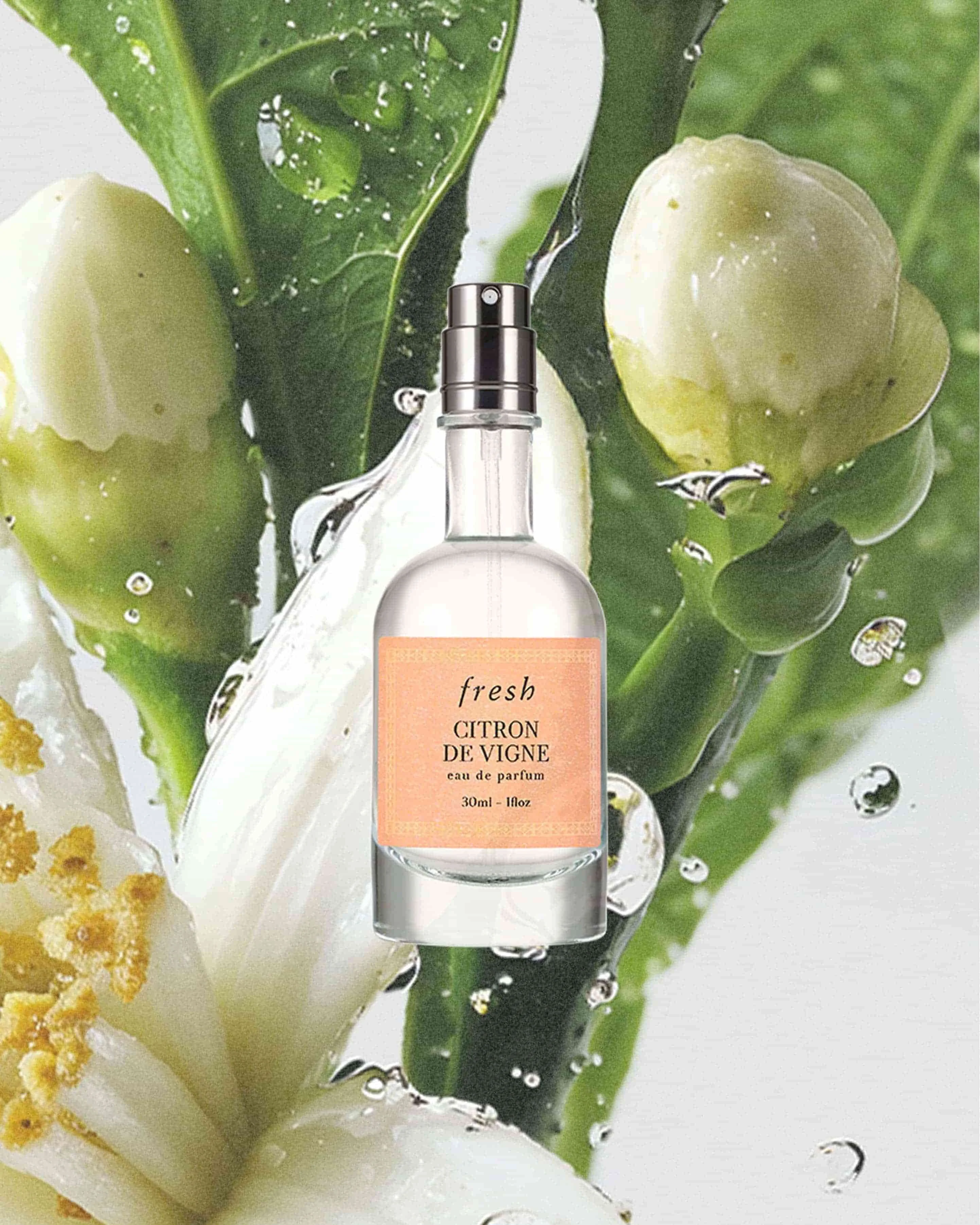 citron de vigne eau de parfum - 1